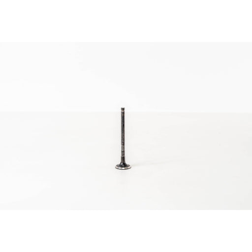 828315 Outlet valve