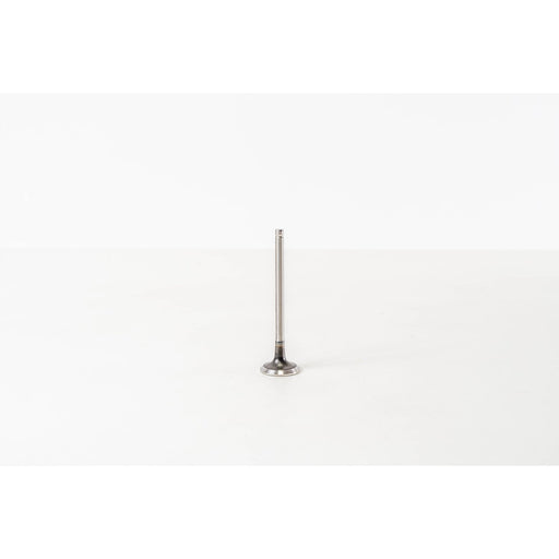 828317 Outlet valve