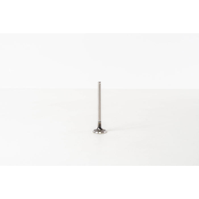 828317 Outlet valve