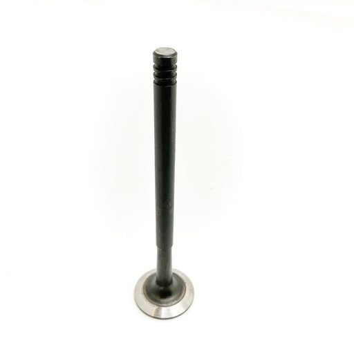 828318 Outlet valve