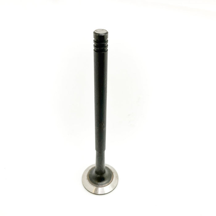 828318 Outlet valve