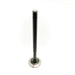 828318 Outlet valve