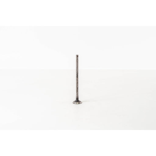 828319 Outlet valve