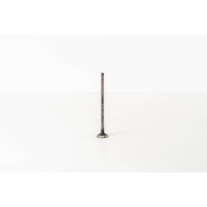 828319 Outlet valve