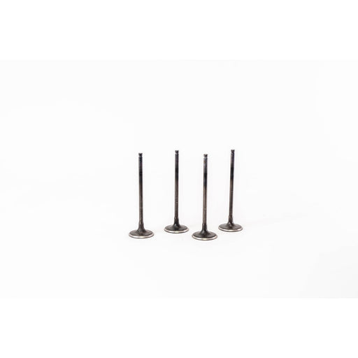 828327 Inlet Valve