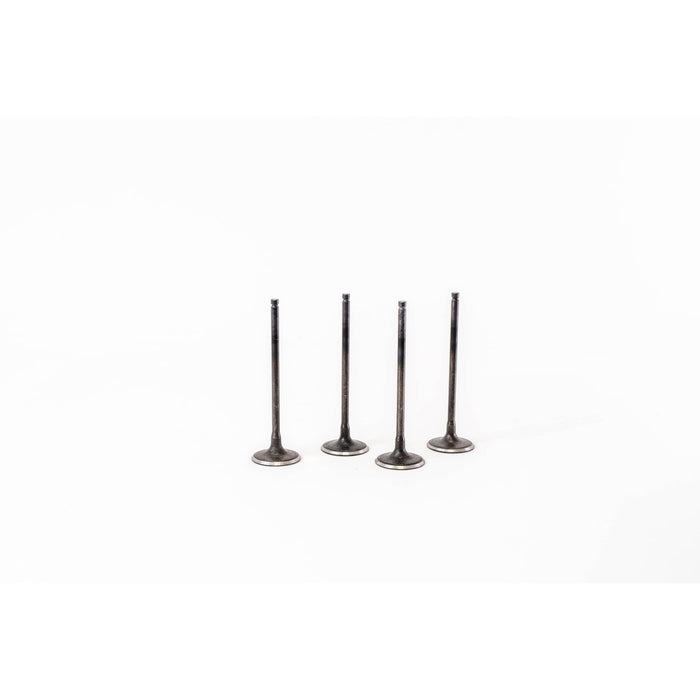 828327 Inlet Valve
