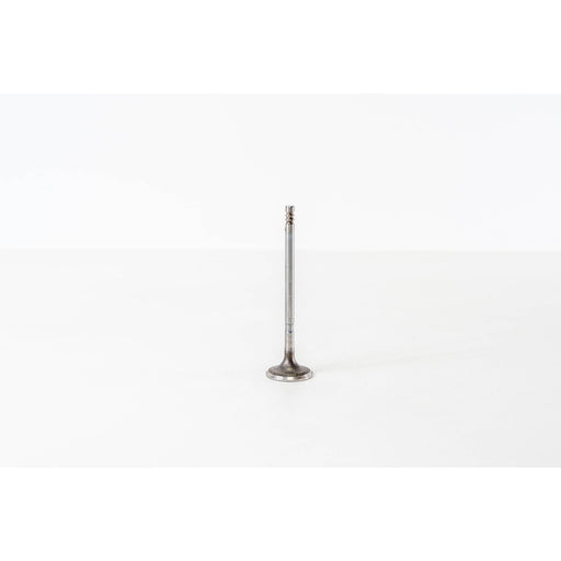 828350 Inlet Valve