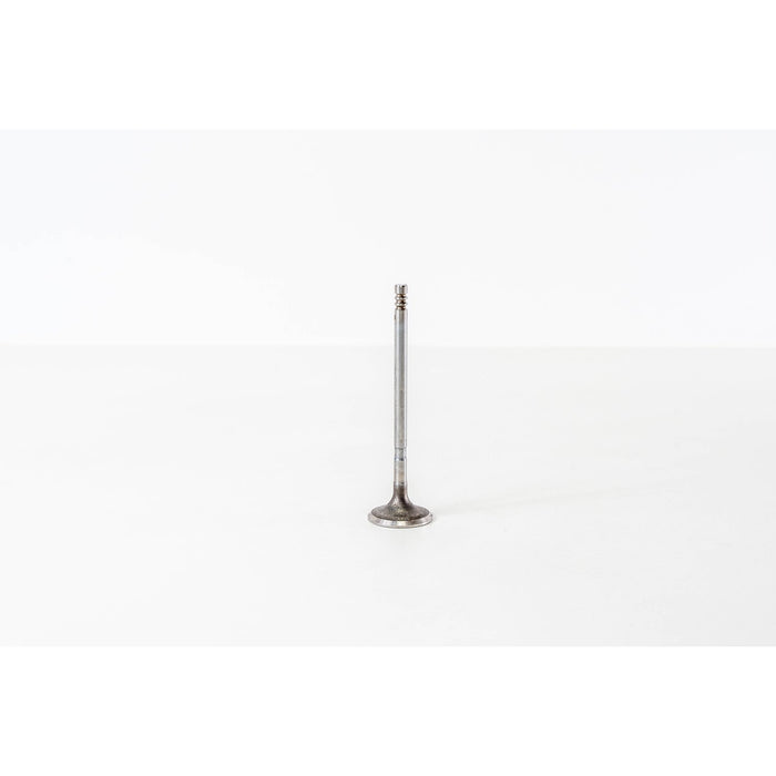 828350 Inlet Valve