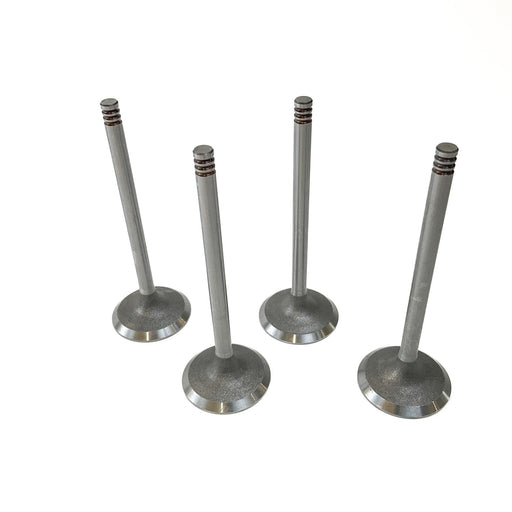 828410M Inlet Valve