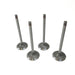 828410M Inlet Valve
