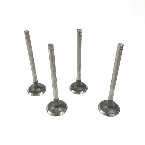 828420M Outlet valve
