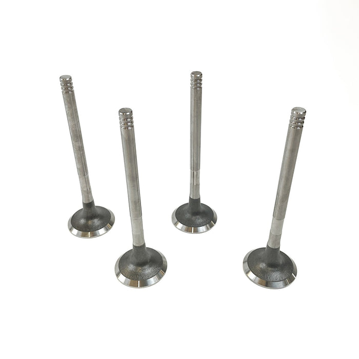 828420M Outlet valve