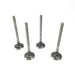 828420M Outlet valve