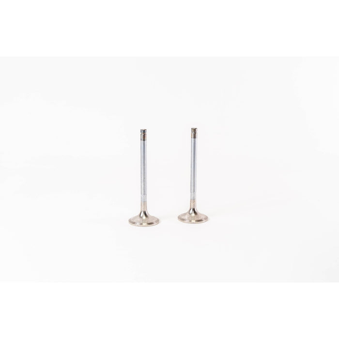 829010 Inlet Valve