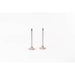 829010 Inlet Valve