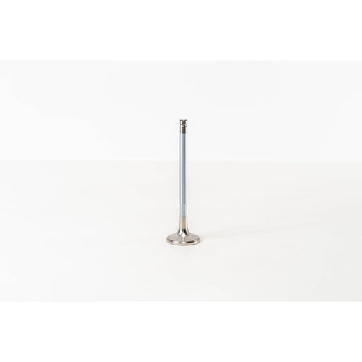 829020 Outlet valve