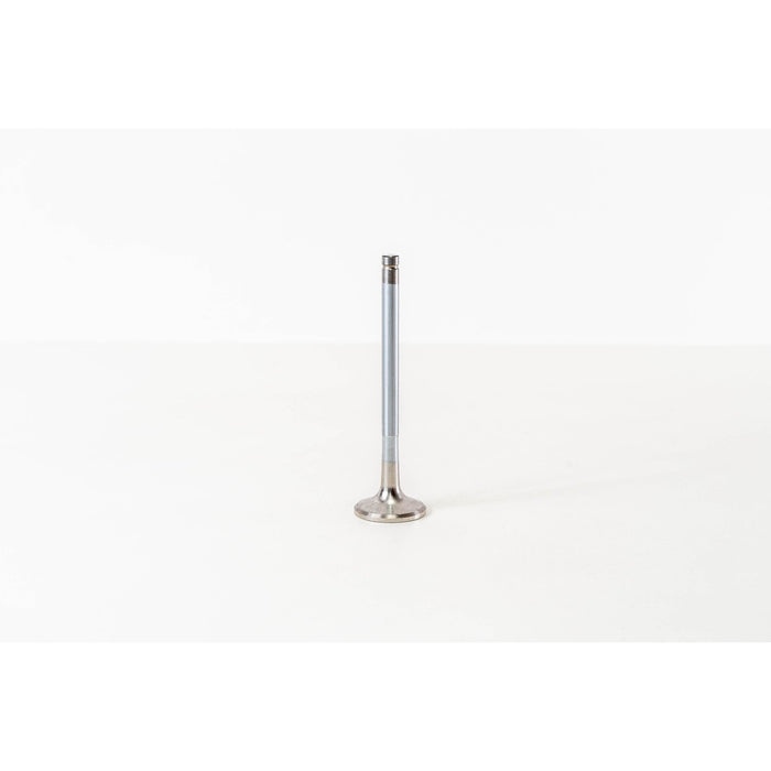 829020 Outlet valve