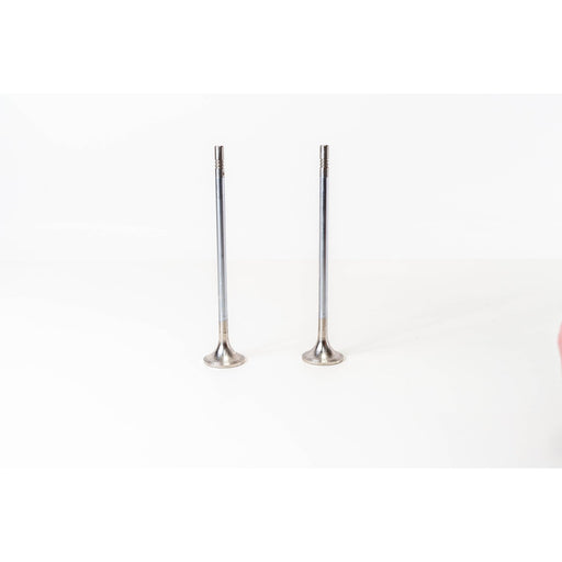 829061 Outlet valve