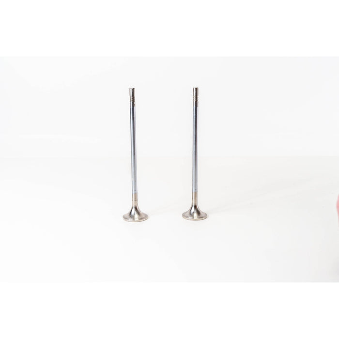 829061 Outlet valve