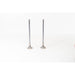 829061 Outlet valve
