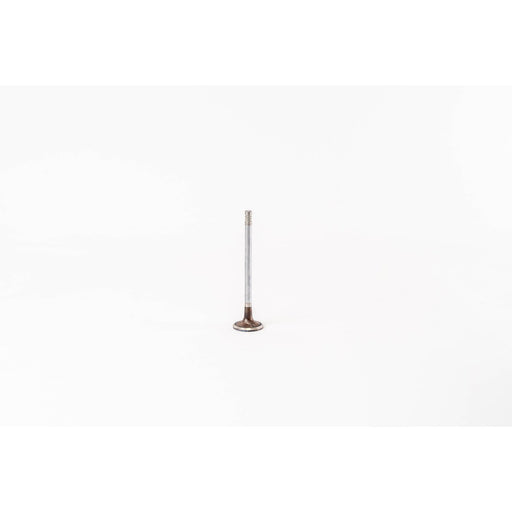 829090 Inlet Valve