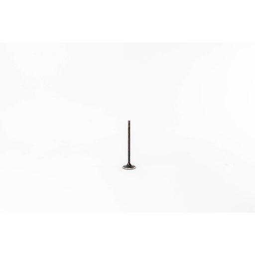 829400 Inlet Valve
