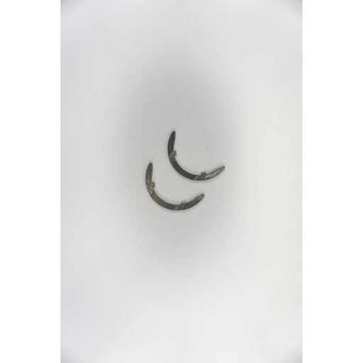 831040M Thrust Washer, crankshaft