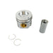 850448 Piston