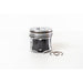 850500 Piston