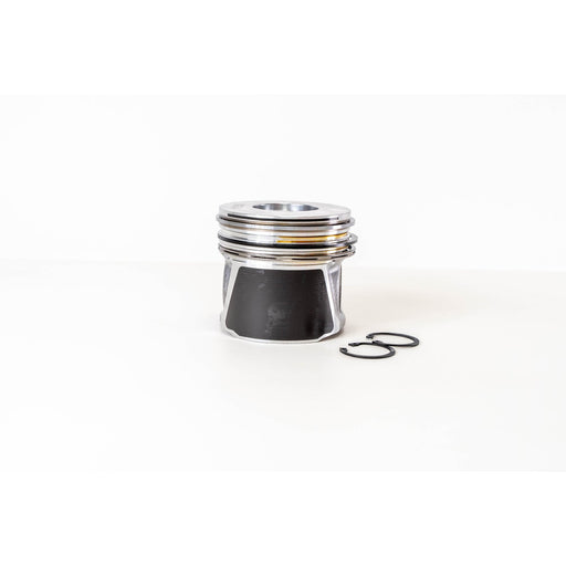 855504 Piston