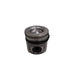 855600 Piston