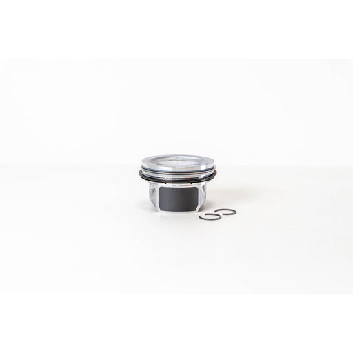 855692 Piston