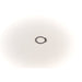 900020 Seal Ring, coolant tube