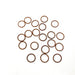 900030 Seal Ring