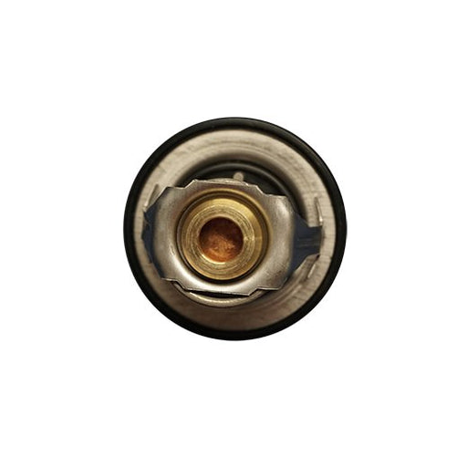 931390 Thermostat, coolant