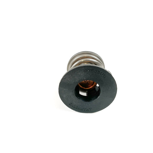 931930 Thermostat, coolant
