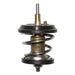 931950 Thermostat, coolant