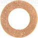 960027 Seal Ring, injector
