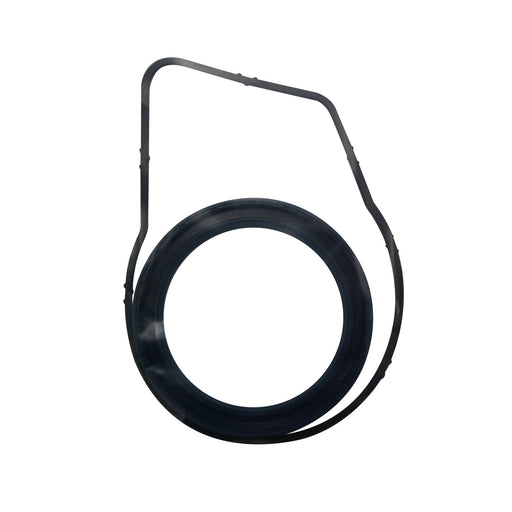 960079 Gasket, thermostat