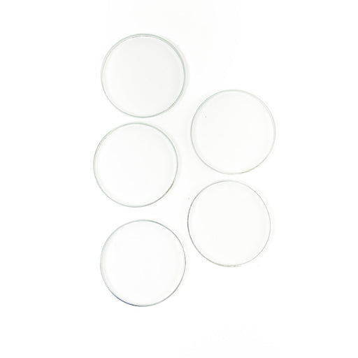 969765 Seal Ring