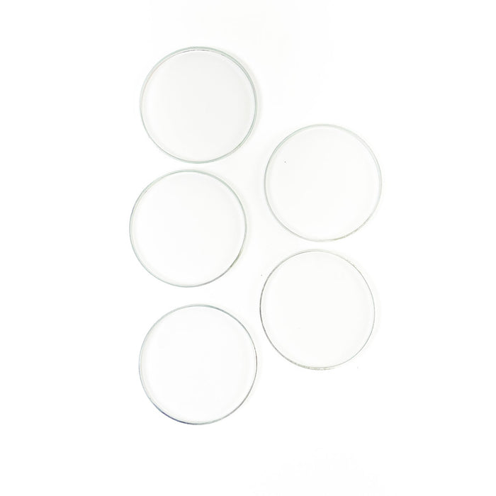 969765 Seal Ring
