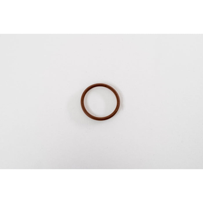 984490 Seal Ring, injector