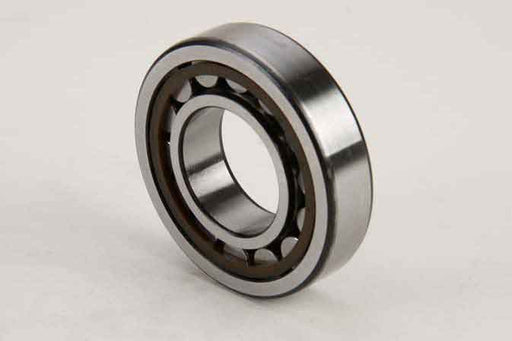 SLP BRG-081 Roller Bearing - 4881081