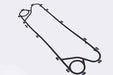 SLP EPL-2902 Gasket - 21242901,21242902