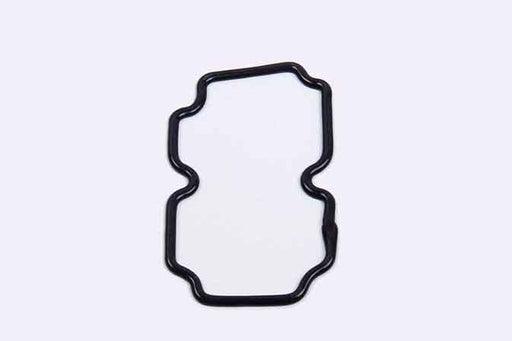 SLP EPL-6215 Gasket - 1446215