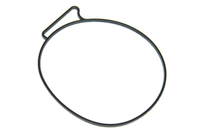 SLP EPL-782 Gasket - 3889782