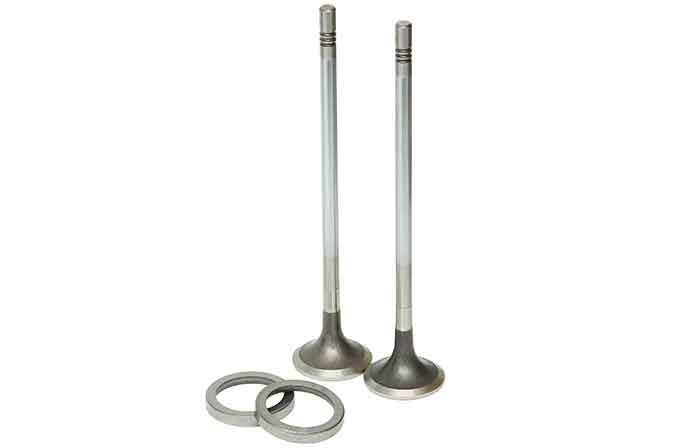 SLP EXVK-594 Exhaust Valve Kit - 21757918,23766594