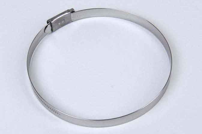 SLP HCL-603 Hose Clamp - 11191151,16826603