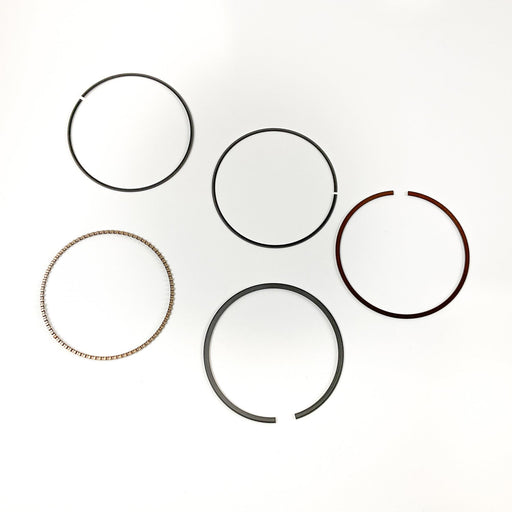 KS817550 Piston Ring Kit