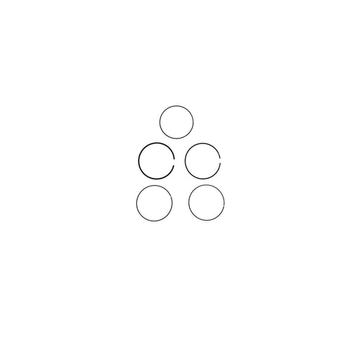 KS817825 Piston Ring Kit
